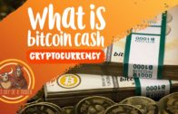 What is Bitcoin Cash BCH Cryptocurrency and How it Works?