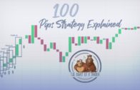 100 Pips Strategy Explained