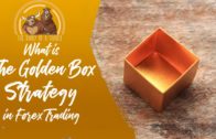 What is The Golden Box Strategy in Forex Trading