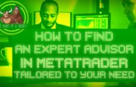 How To Find Best Expert Advisor In MetaTrader 4