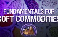 What is Soft Commodity Trading & How to Trade Agricultural Commodities