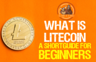 What is Litecoin Cryptocurrency a Beginner Step-By-Step Guide