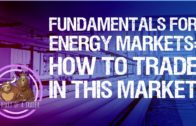 Fundamentals for Energy Markets: How to Effectively Trade it