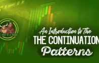 An Introduction to The Continuation Patterns