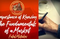 The importance of Fundamental Analysis – An Easy Guide