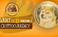 What is Dogecoin Cryptocurrency & What is the future of Dogecoin?