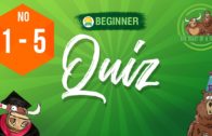 Quizzes 1 to 5 Beginner
