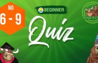 Quizzes 6 to 9 Beginner