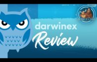 Darwinex Review – A Must Read Before Trading