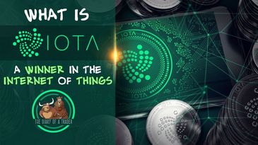 what is Iota Currency : How it works and what you should know about