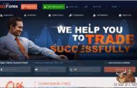 PAXFOREX Review